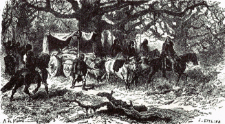 Gothic king in his wain